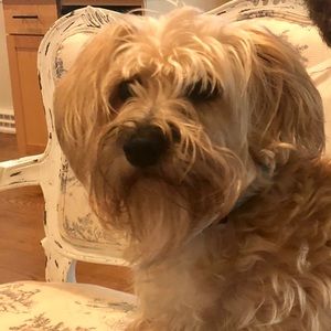 Meet your Posher, Grace